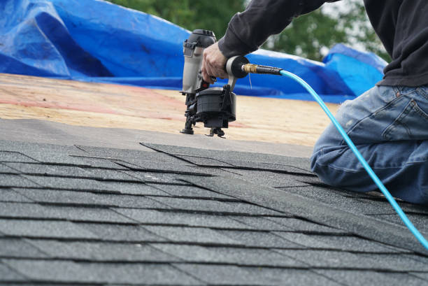 Best Gutter Installation and Roofing  in New Paris, OH
