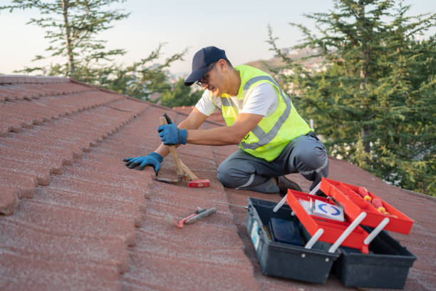 Best Roof Gutter Cleaning  in New Paris, OH