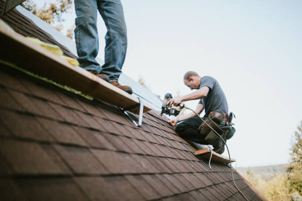 Roof Gutter Cleaning in New Paris, OH